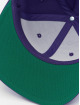 Flexfit Casquette Snapback & Strapback Classic pourpre