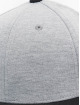 Flexfit Flexfitted Cap 2-Tone Double Jersey grey