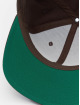 Flexfit Snapback Cap Classic braun