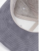 Flexfit Snapback Cap Melange Velour grey