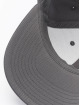 Flexfit Snapback Cap Premium Curved Visor grey