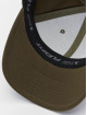 Flexfit Snapback Caps 110 Curved Visor oliven
