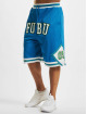 Fubu shorts College Mesh blauw