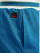 Fubu shorts College Mesh blauw
