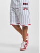 Fubu shorts Varsity Pinstriped Mesh wit