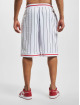 Fubu shorts Varsity Pinstriped Mesh wit