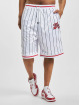 Fubu shorts Varsity Pinstriped Mesh wit