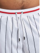 Fubu shorts Varsity Pinstriped Mesh wit