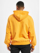 GCDS Sweat capuche Kittho orange