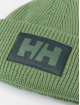 Helly Hansen Bonnet Box vert