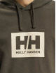 Helly Hansen Hoodie Box grey