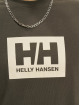 Helly Hansen T-Shirty Box szary