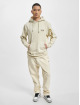 Hugo Hoodie Wegenerated Backprint beige