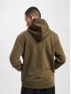 Hugo Hoodie Wetalk green