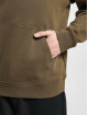 Hugo Hoodie Wetalk green