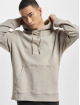 Hugo Hoodie Wetalk grey