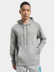 Hugo Hoodie Soody 2 Logo grey