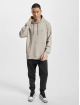 Hugo Hoodies Wetalk grå