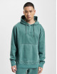 Hugo Hoodies Wefade Logo grøn