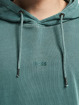Hugo Hoody Wefade Logo groen