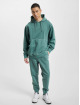 Hugo Hoody Wefade Logo groen