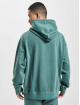 Hugo Hoody Wefade Logo grün