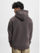 Jack & Jones Hoodie King brown