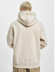 Jack & Jones Hoodies Hiking beige