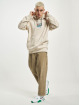 Jack & Jones Hoodies Hiking beige