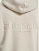 Jack & Jones Hoodies Rushrubber beige
