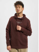 Jack & Jones Hoodies Archie brun