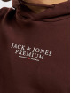 Jack & Jones Hoodies Archie brun