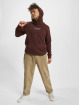 Jack & Jones Hoodies Archie brun