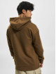 Jack & Jones Hoodies Mapping Text brun