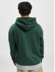 Jack & Jones Hoodies Copenhagen Blocking grøn