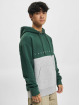 Jack & Jones Hoodies Copenhagen Blocking grøn