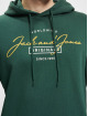 Jack & Jones Hoodies Ferry grøn