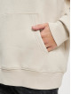 Jack & Jones Hoody Rushrubber beige