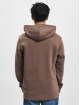 Jack & Jones Hoody Crop Logo bruin