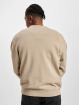 Jack & Jones Puserot Blupete Crew Neck beige