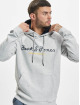 Jack & Jones Sweat capuche Berg gris