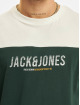 Jack & Jones T-skjorter Dan Blocking grøn