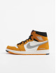 Jordan Sneakers High Element Gore-Tex orange