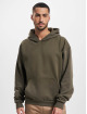 Just Rhyse Hoody IntoTheWoods olive