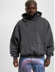 Karl Kani Felpa con cappuccio Small Signature Oversized Heavy grigio