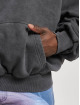 Karl Kani Felpa con cappuccio Small Signature Oversized Heavy grigio