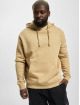 Karl Kani Felpa con cappuccio Small Signature Essential marrone