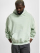 Karl Kani Felpa con cappuccio Small Signature Oversized Heavy verde