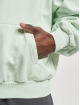 Karl Kani Felpa con cappuccio Small Signature Oversized Heavy verde