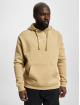 Karl Kani Hoodie Small Signature Essential brun